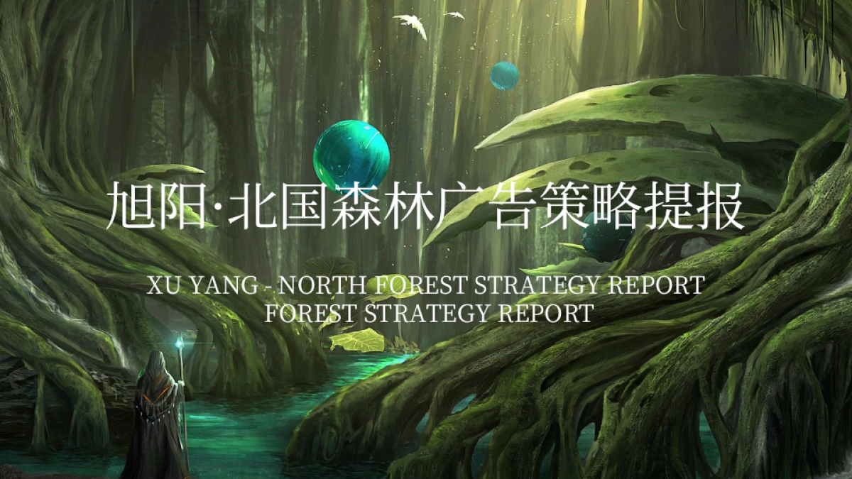 2019北京世嘉广告-旭阳.北国森林项目推广提报_第2页