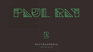 2019中国河南最大文旅城河洛万象竞标案-成都睿意高攀广告