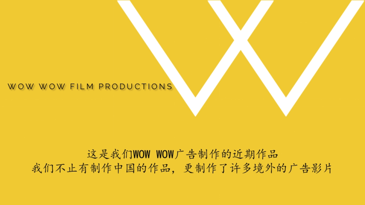 WOW WOW广告制作公司简介_第4页