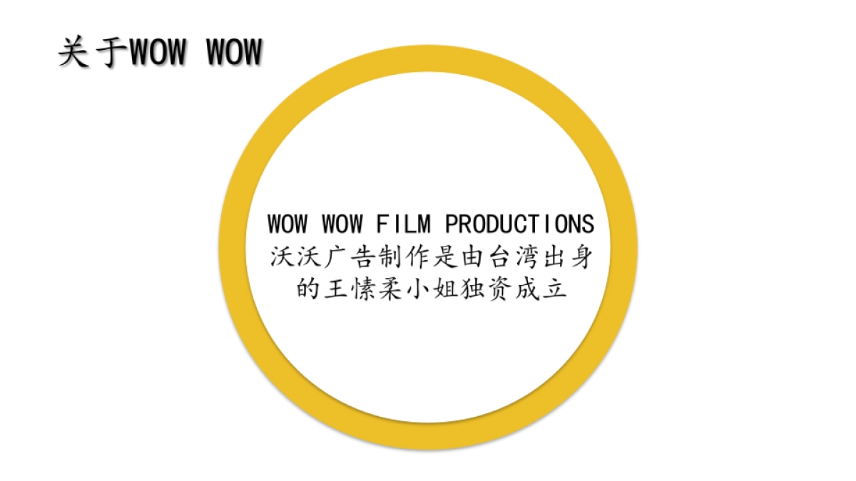WOW WOW广告制作公司简介_第5页