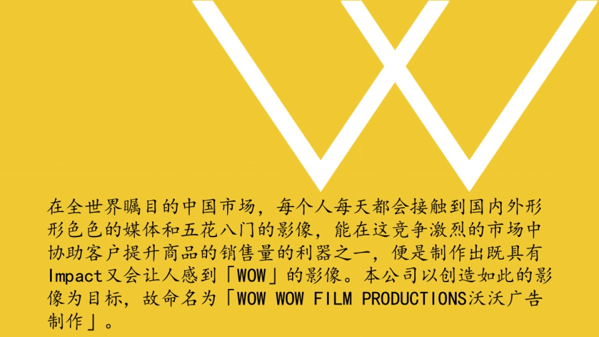 WOW WOW广告制作公司简介_第6页