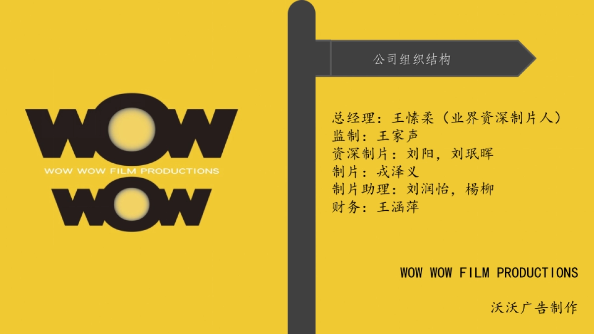 WOW WOW广告制作公司简介_第8页
