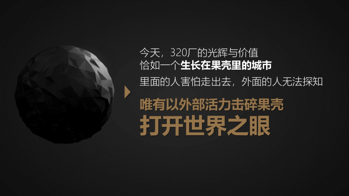 广州传石广告-保利江西项目价值构建方案终版_第9页
