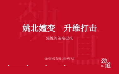 杭州劲道广告-漫悦湾策略提报