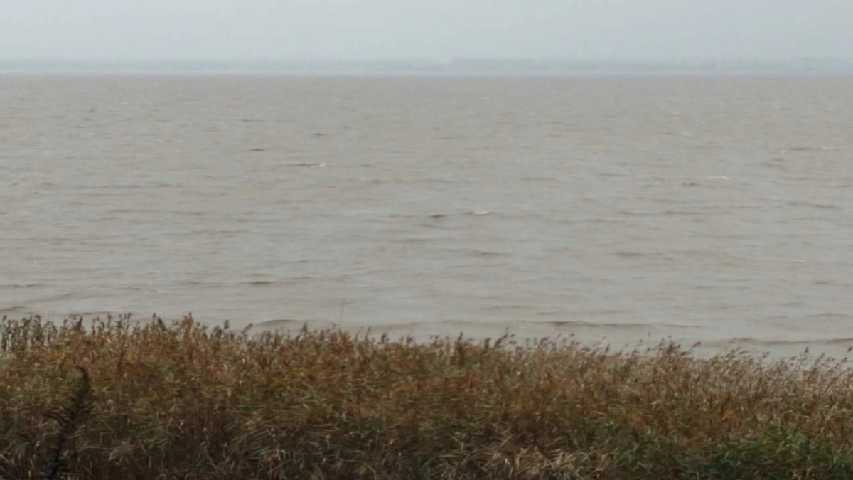 上海寅虎广告-大爱城崇明项目策略提报方案（中标）_第3页