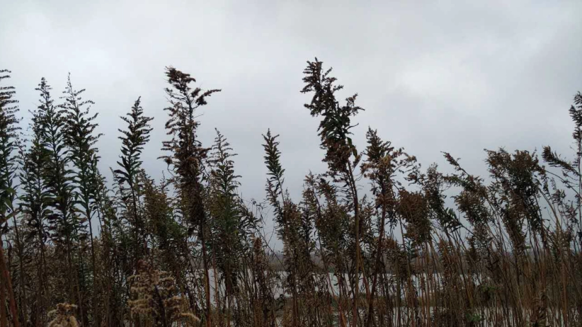 上海寅虎广告-大爱城崇明项目策略提报方案（中标）_第4页