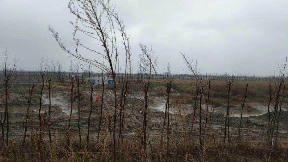 上海寅虎广告-大爱城崇明项目策略提报方案（中标）_第5页