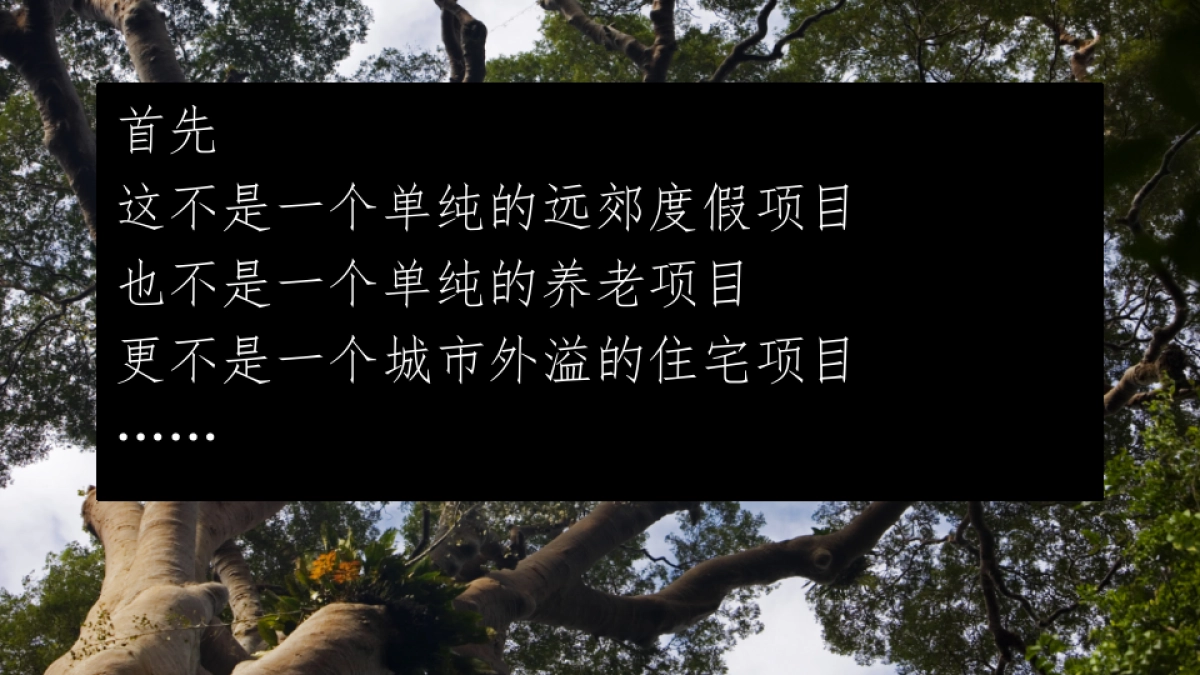 上海寅虎广告-大爱城崇明项目策略提报方案（中标）_第6页