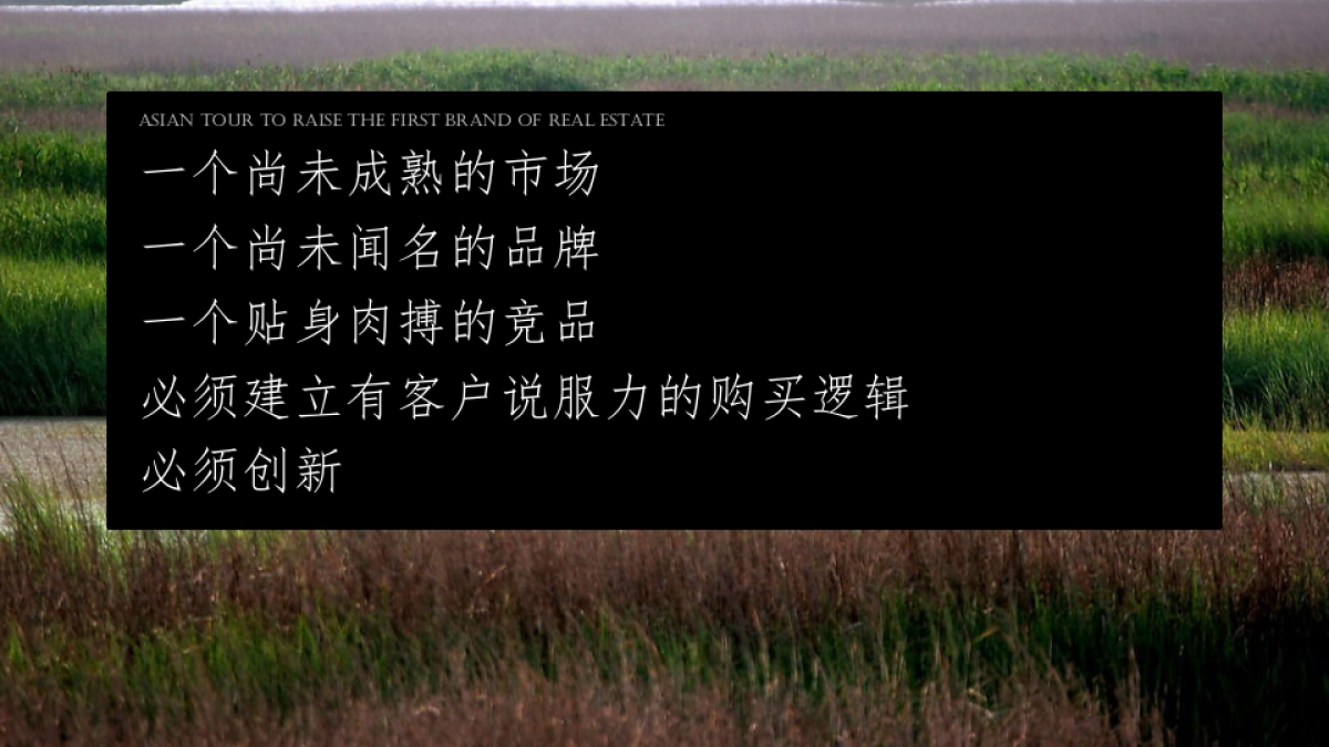 上海寅虎广告-大爱城崇明项目策略提报方案（中标）_第7页