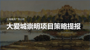 上海寅虎广告-大爱城崇明项目策略提报方案（中标）
