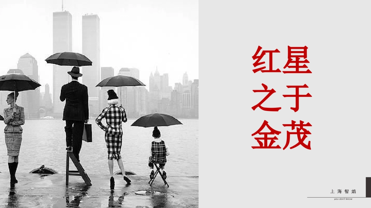 上海智焰广告-金茂+红星美凯龙金茂悦推广方案_第4页