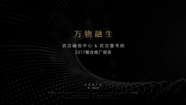 深圳非常道广告FCD-武汉融创中心&武汉壹号院策略推广方案
