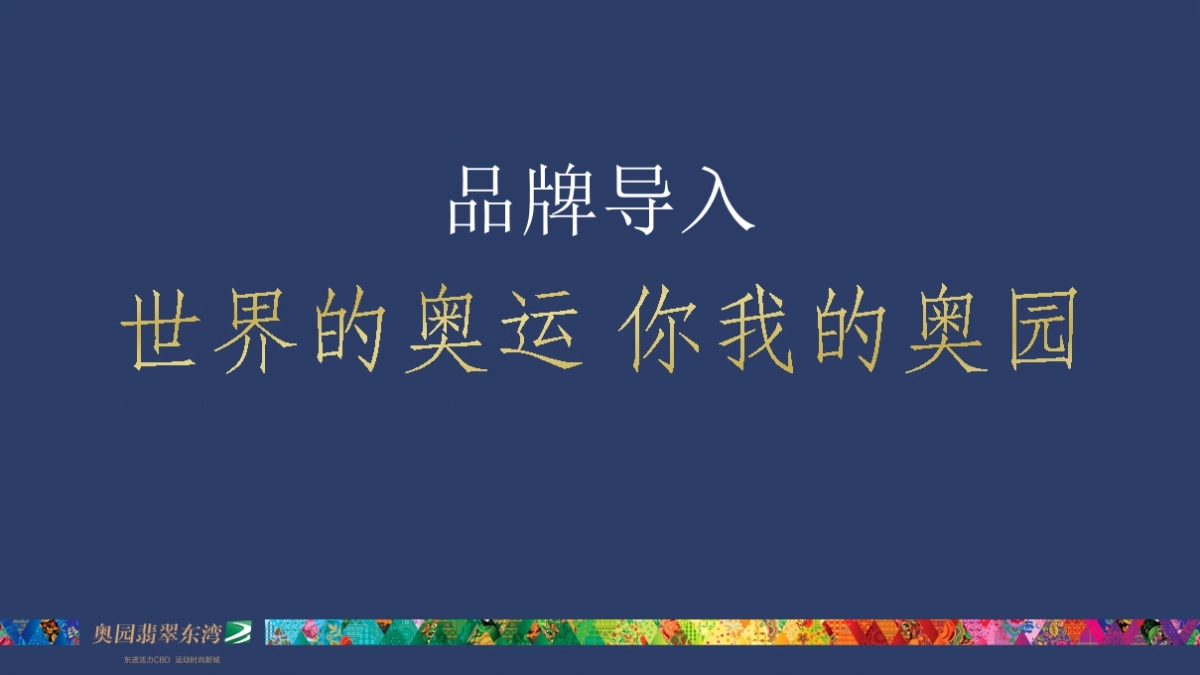 深圳某广告公司-坪山奥园·翡翠东湾整合推广_第10页