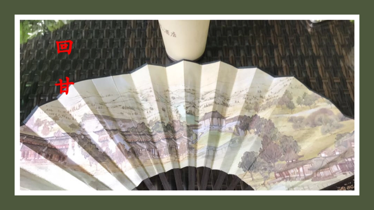 深圳某广告公司-中海汤泉整合推广提报_第8页