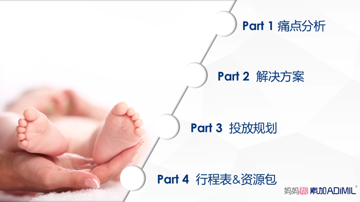 素加媒体投放计划_第2页