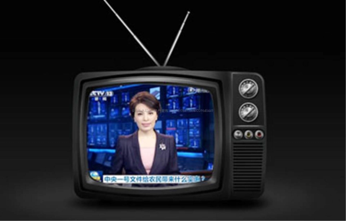 洋正广告-长城下的小院(田仙峪项目)整合策略提报_第8页