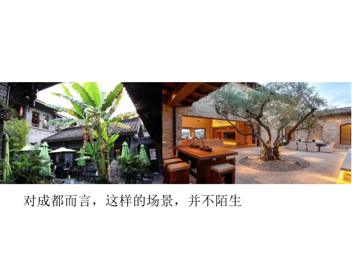 优叁广告－成都东原万树山项目推广方案_第5页