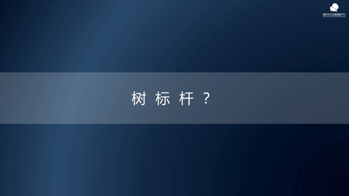 深圳道里广告-郑州融创甲第推广策略案_第5页