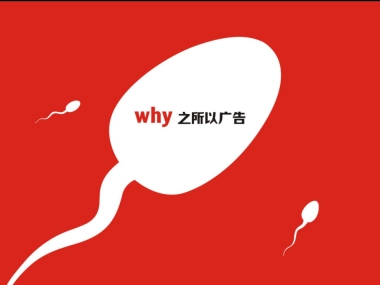 深圳之所以广告-观禧广告传播策略案