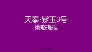 紫玉号策略提报（就是广告）