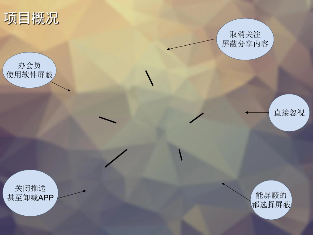 《winner》互联网+广告创业商业计划书_第2页