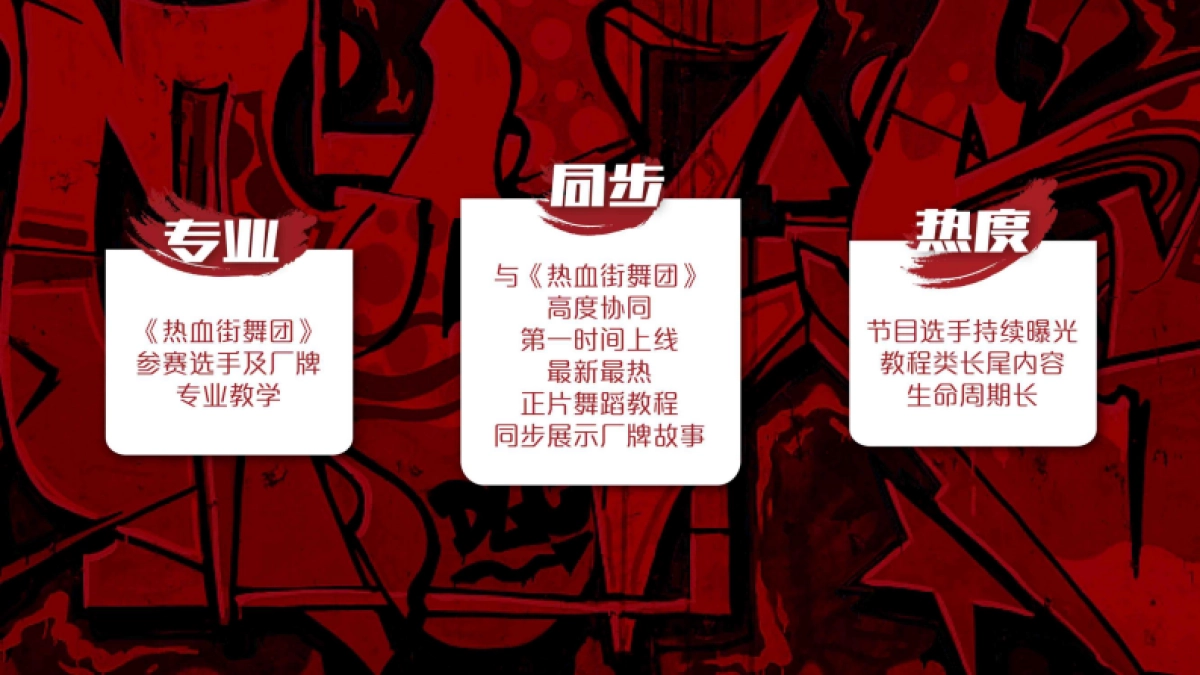《街舞》衍生《热血教练场》招商方案_第10页