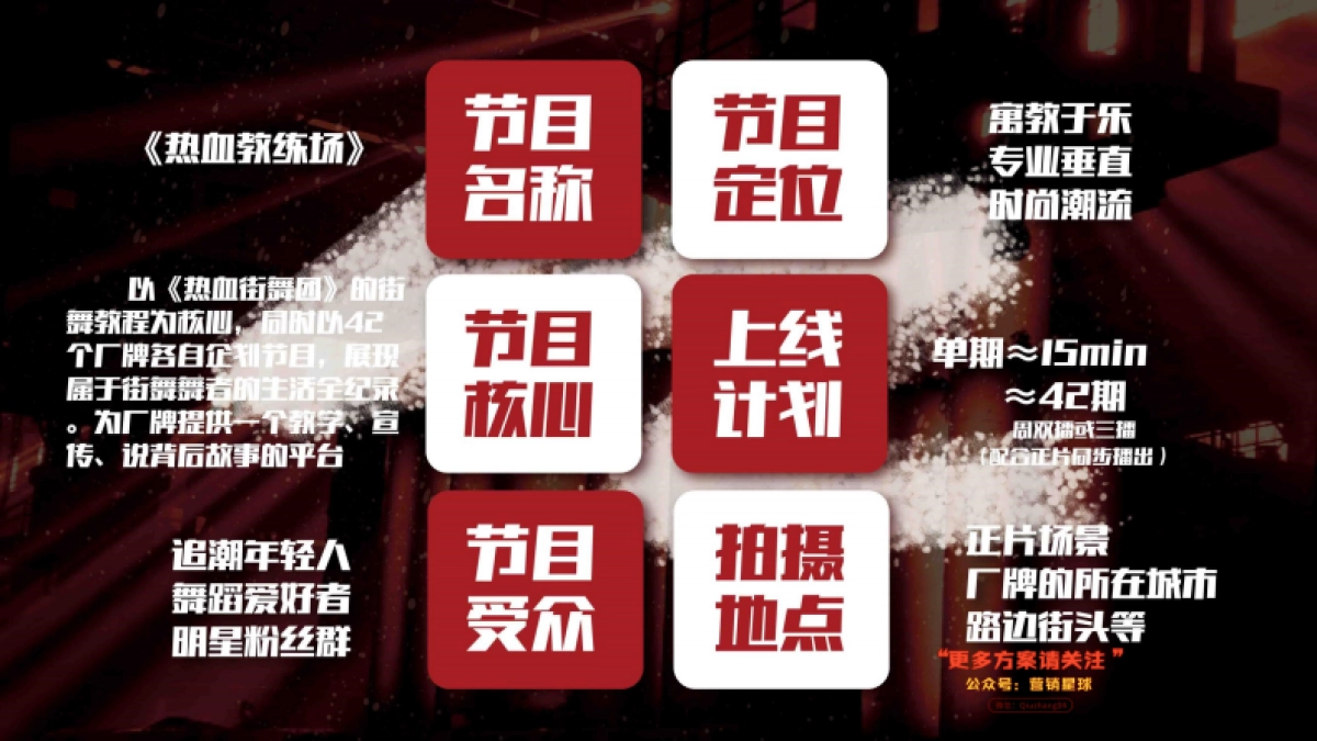 《街舞》衍生《热血教练场》招商方案_第3页
