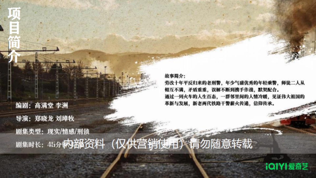 《南来北往》爱奇艺大剧招商方案_第5页