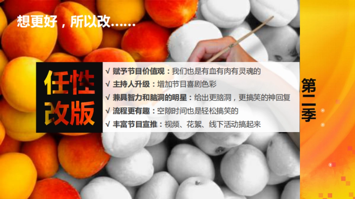 《脑大洞开》第二季招商方案_第6页