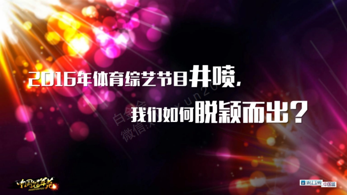 《中国冠军范》栏目冠名招商方案_第6页