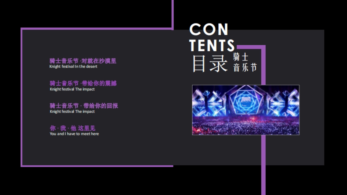 2017内蒙古骑士音乐嘉年华招商方案_第2页