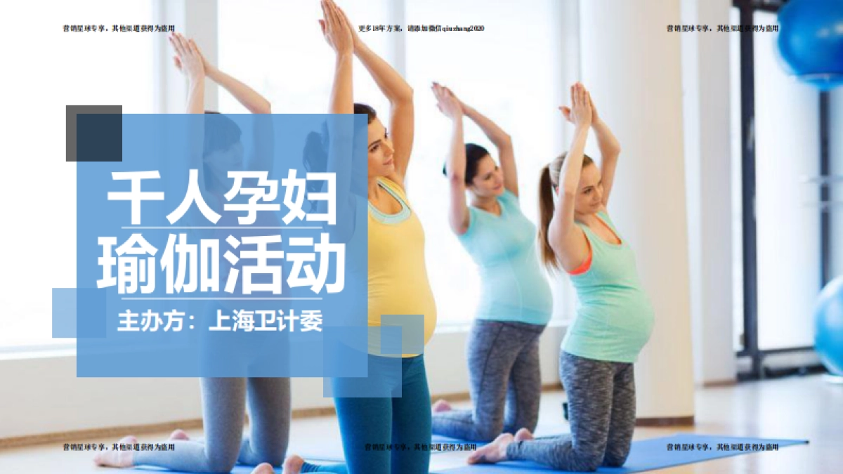 2017上海千人孕妇瑜伽项目招商方案 _第1页