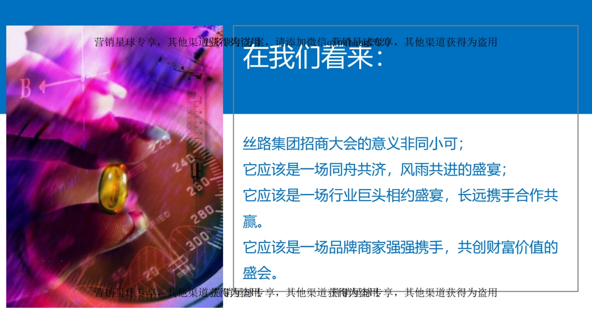 2017丝路集团招商大会策划案 _第5页