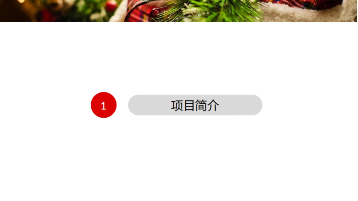 2017校校第三届百校圣诞嘉年华招商方案_第4页