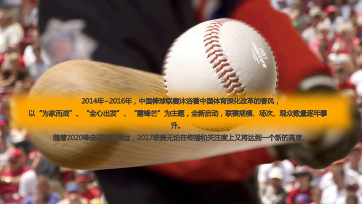 2017中国棒球联赛赞助招商方案_第3页