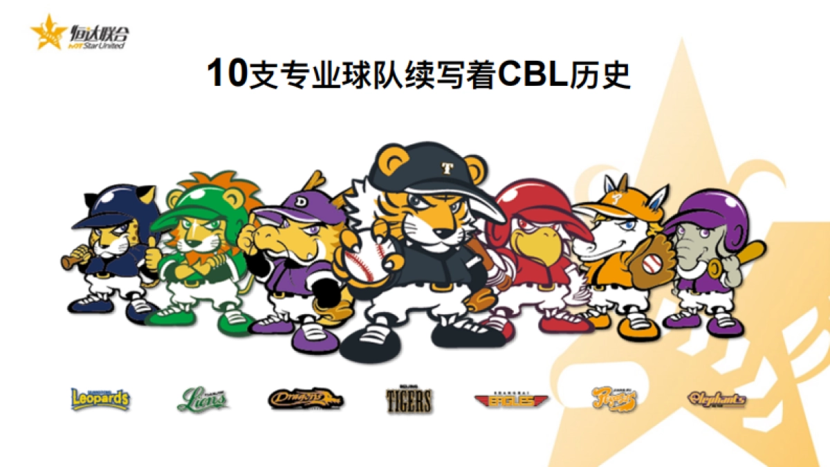 2017中国棒球联赛赞助招商方案_第6页