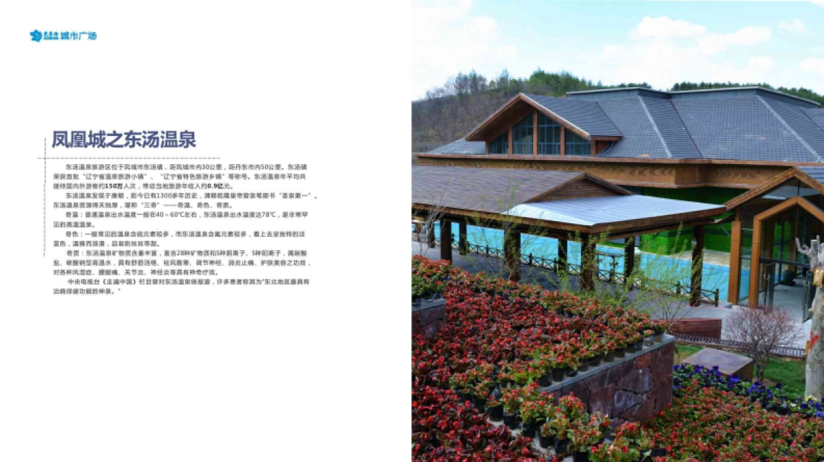 丹东凤城爱琴海城市广场招商手册_第10页