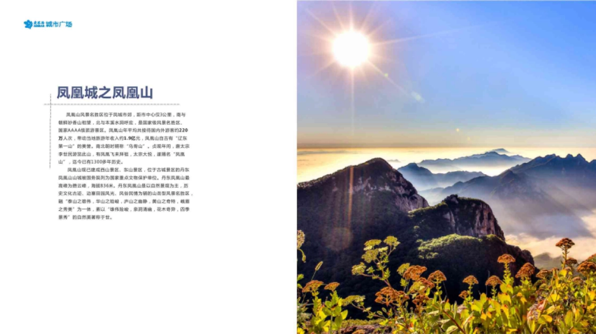 丹东凤城爱琴海城市广场招商手册_第9页