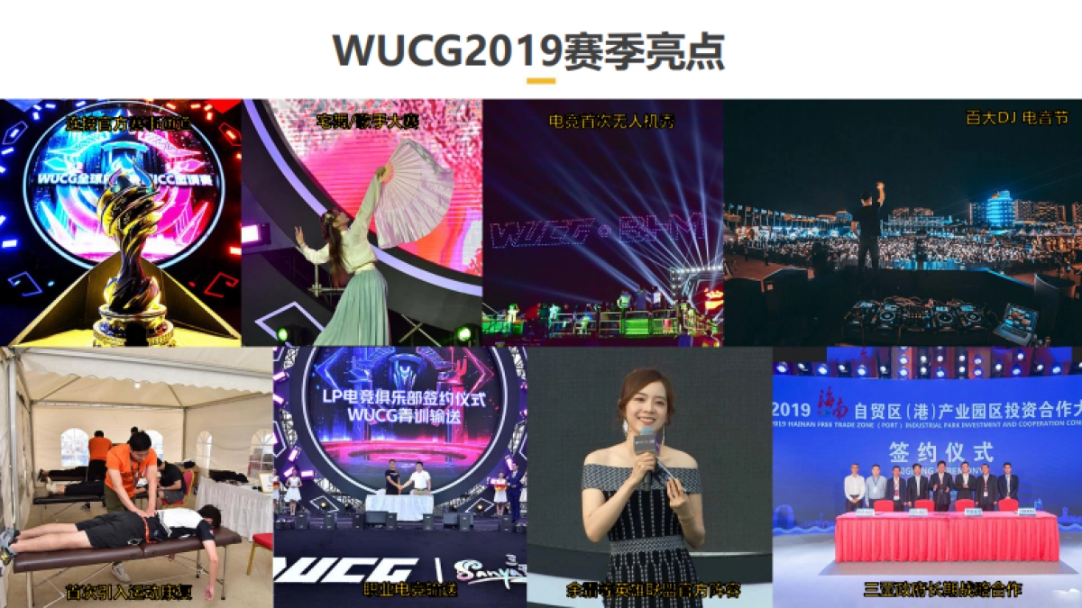 2020WUCG招商方案_第8页