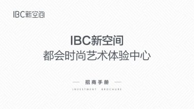 2021深圳罗湖IBC新空间招商手册-37P