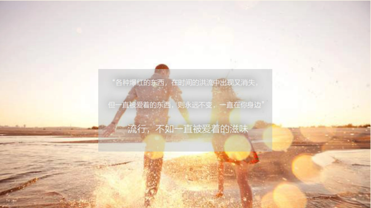 I Do致·爱主题演唱会招商方案_第3页