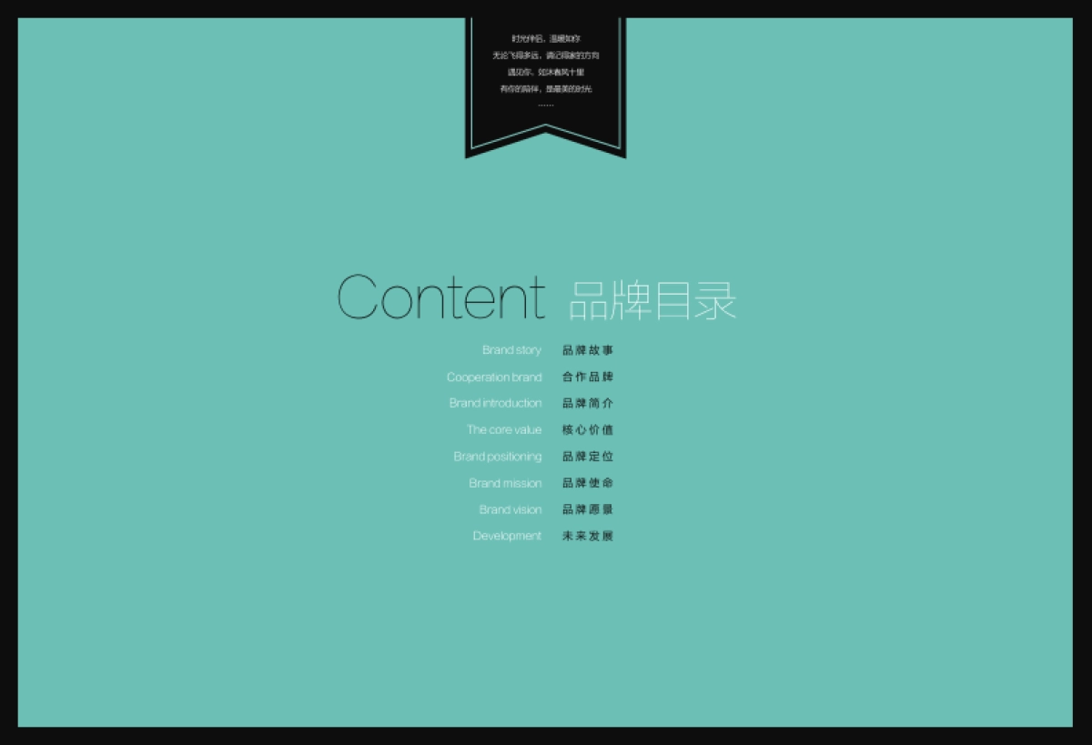 TT (时光伴侣）招商文件_第2页