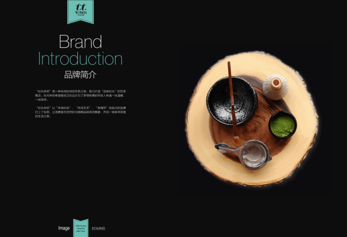 TT (时光伴侣）招商文件_第4页