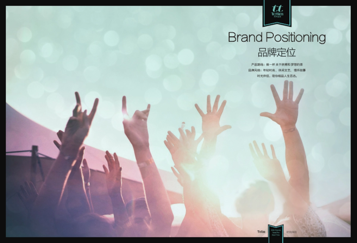 TT (时光伴侣）招商文件_第8页