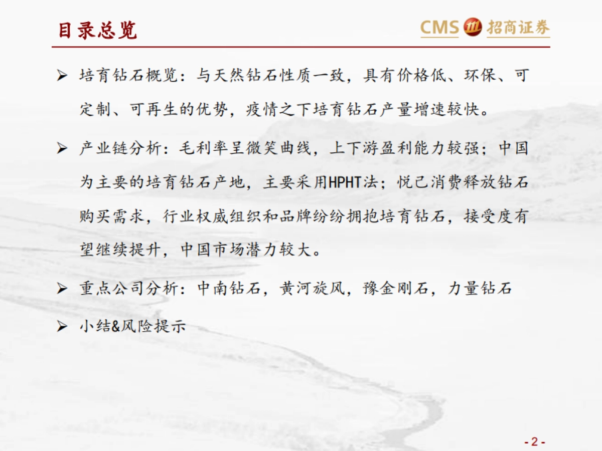 培育钻石行业专题梳理：低渗透、高成长的新兴珠宝-招商证券_第2页