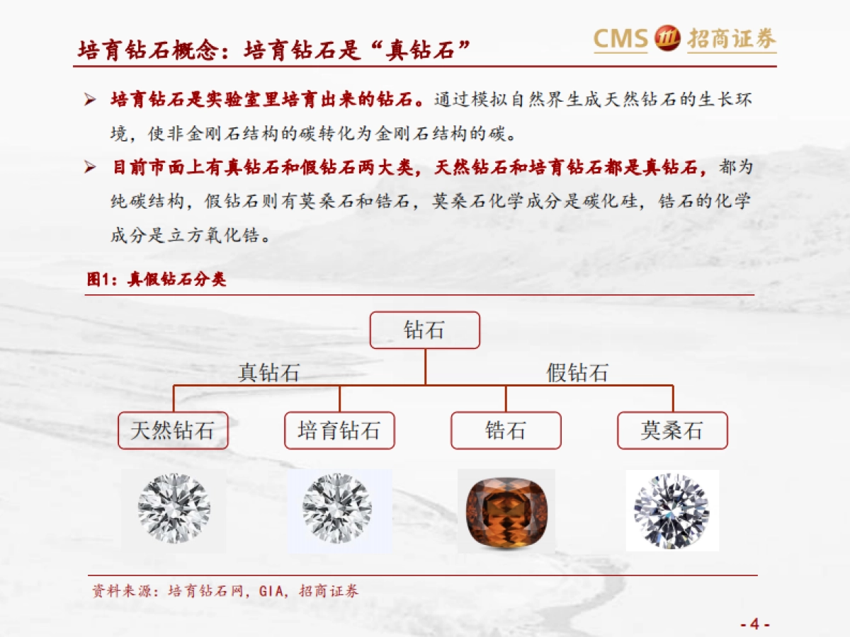 培育钻石行业专题梳理：低渗透、高成长的新兴珠宝-招商证券_第4页