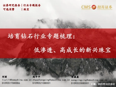培育钻石行业专题梳理：低渗透、高成长的新兴珠宝-招商证券