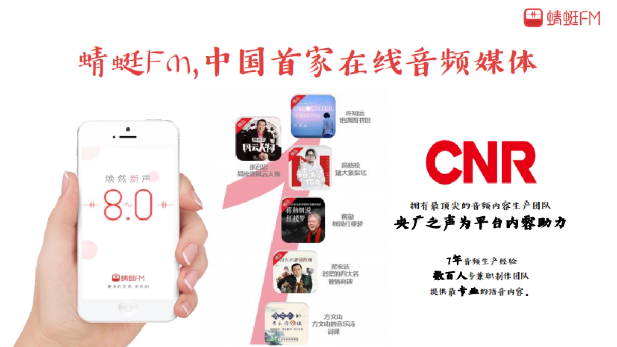 蜻蜓FM春节专题招商方案春节线上线下整体营销方案_第6页