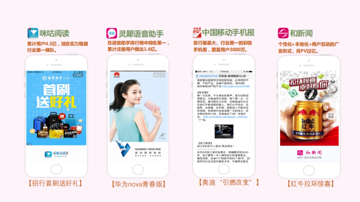 瑞丽模特大赛招商方案_第10页