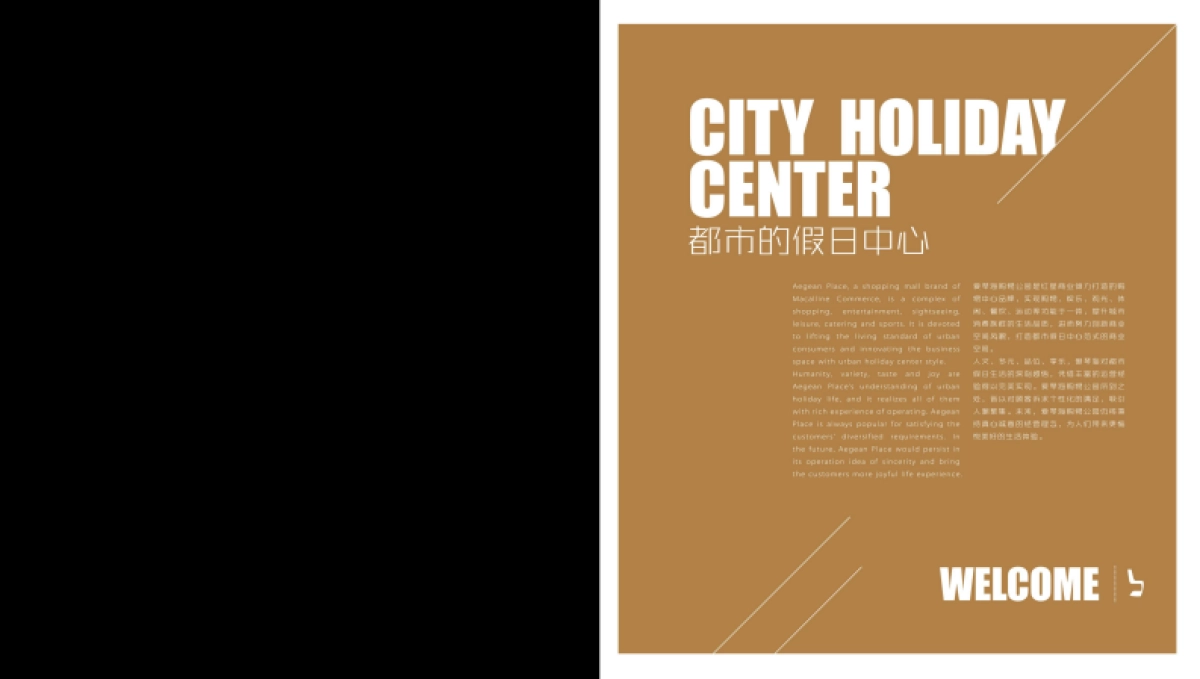 上海爱琴海招商手册_第3页